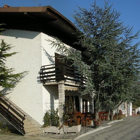 Villa Turisticna Kmetija Birsa Dobravlje Exterior foto